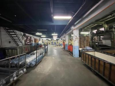 大安段, Tucheng Dist., Nowe Tajpej 236, Tajwan