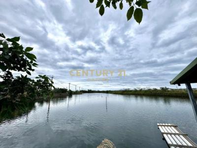 新塭段, Jiaoxi Township, Yilan City 262, Taiwan