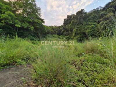 大河底段, Sanwan Township, Miaoli County 352, Taiwan