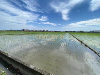 玉田段, Jiaoxi Township, Yilan City 262, Đài Loan