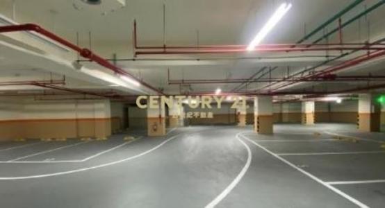文化三路二段, Linkou Dist., 新北 244, 台湾