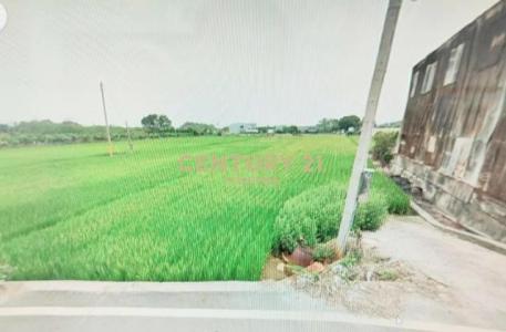 羅厝段, Puxin Township, Changhua County 513, Taïwan