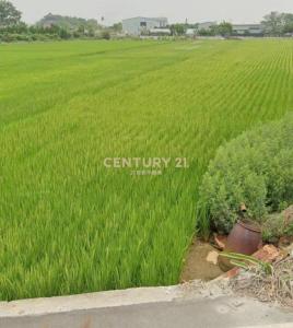 羅厝段, Puxin Township, Changhua County 513, Taïwan