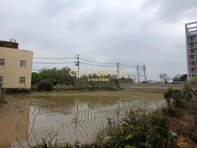 溪洲段, 大園區, Taoyuan 337, Tayvan