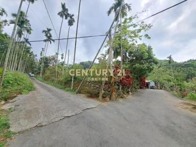 大坑段大坑小段, تشوشان بلدة, مقاطعة نانتو 557, تايوان