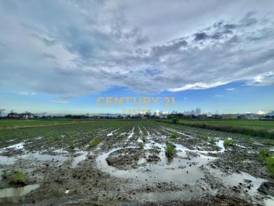 補城一段, Dongshan Township, Yilan County 269, Taïwan
