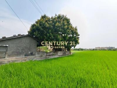 中西段, Xizhou Township, Changhua County 524, Taiwan