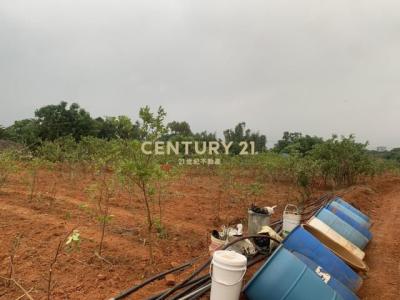 東金段, 平鎮區, Taoyuan City 324, Taiwan