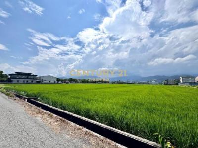 新三泰段, Yuanshan Township, Yilan City 264, Taiwan