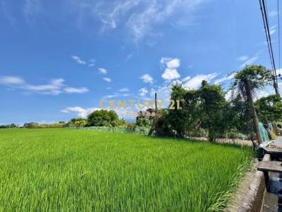 新三泰段, Yuanshan Township, Yilan City 264, Taiwan