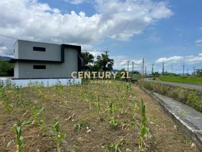 忠平二路, Sanxing Township, Yilan 266, Taiwan