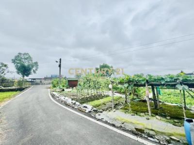 新群一段, 羅東鎮, 宜蘭市 265, 台灣