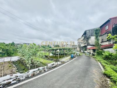 新群一段, 羅東鎮, 宜蘭市 265, 台灣