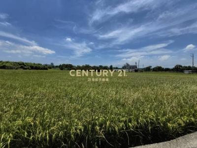 春社段, Nantun Dist., Taichung 408, Taiwan
