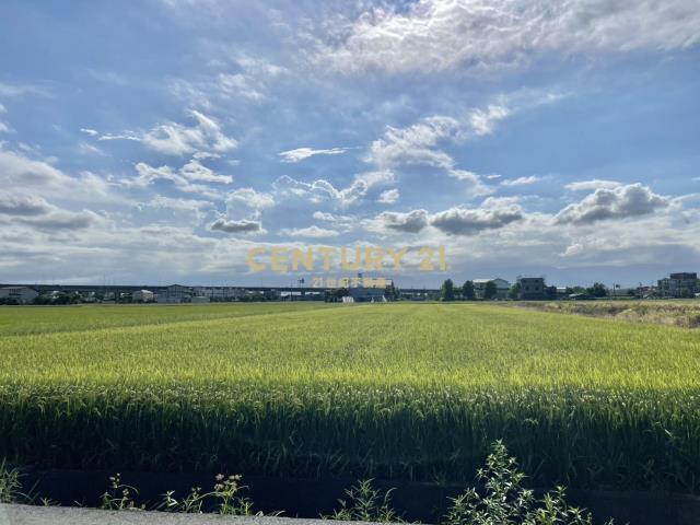 中興段, Zhuangwei Township, Yilan City 263, Taiwan