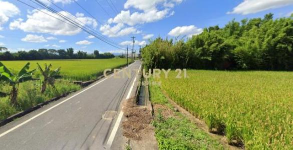 大路段, 中壢區, Đào Viên 320, Đài Loan