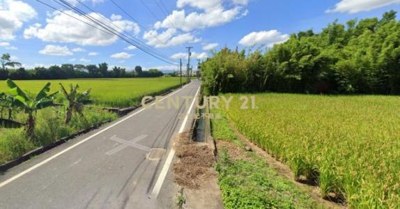 大路段, 中壢區, Taoyuan City 320, Taiwan