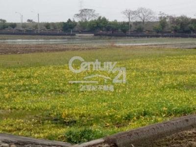 嘉興段, Fenyuan Township, Changhua County 502, 대만