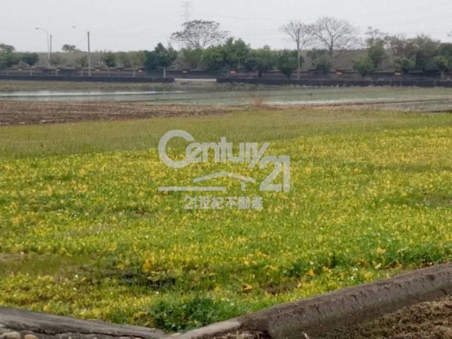 嘉興段, Fenyuan Township, Changhua County 502, 대만