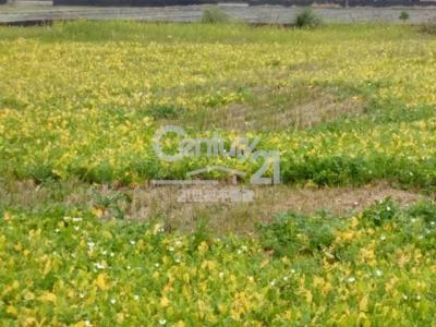 嘉興段, Fenyuan Township, Changhua County 502, 대만