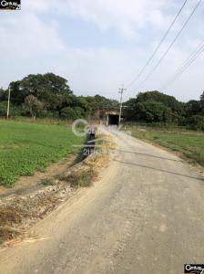 東勢寮, Shanhua Dist., Đài Nam 741, Đài Loan