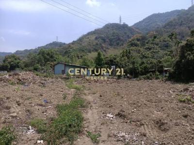 中正路, Caotun Township, Nantou County 542, Tajwan