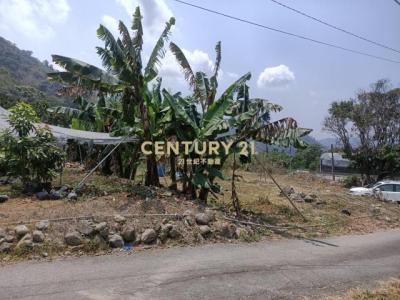 中正路, Caotun Township, Nantou County 542, Tajwan