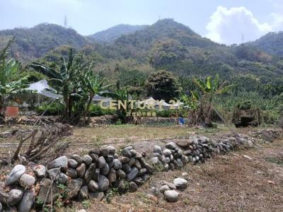 中正路, Caotun Township, Nantou County 542, 대만