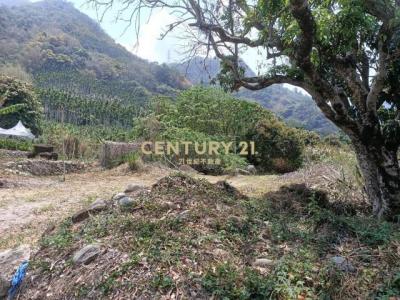 中正路, Caotun Township, Nantou County 542, 대만