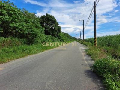 茄拔段, Shanhua Dist., Tainan City 741, Taiwan