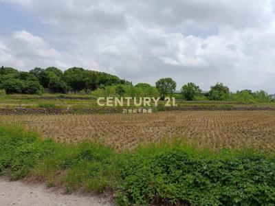 便行段, Wuri Dist., Taichung 414, Taiwan