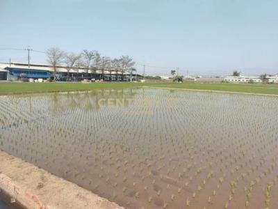 嘉北段, Fenyuan Township, Changhua County 502, Taiwan