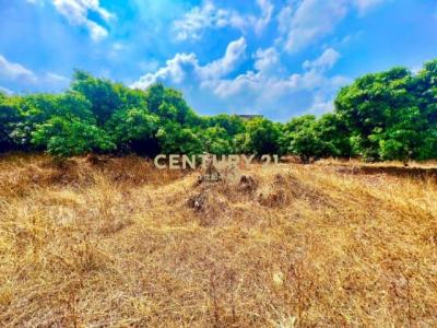 新小半山段, Nantou City, Nantou County 540, Taiwan