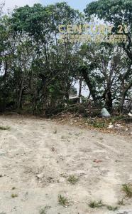 裕津段, Fangyuan Township, Changhua County 528, Taïwan