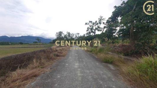 大原段, Luye Township, Taitung County 955, 台湾