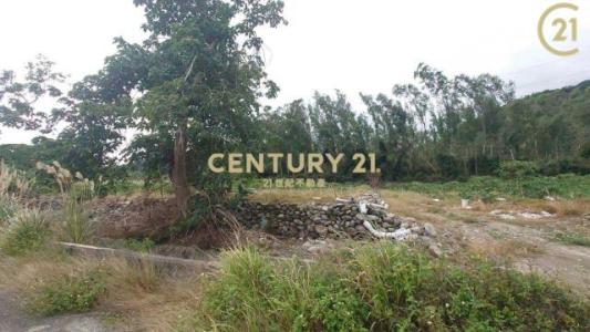 大原段, Luye Township, Taitung County 955, 대만