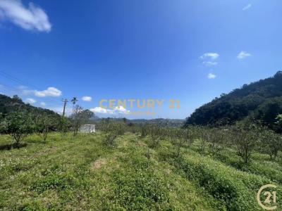 班鳩段, Beinan Township, Taitung County 954, Taiwan