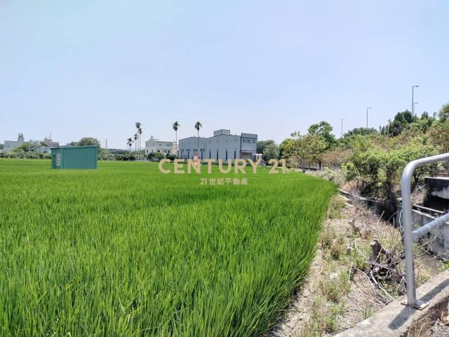 新光段, Caotun Township, Nantou County 542, Taiwan