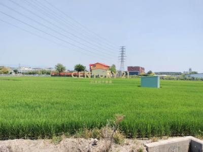 新光段, Caotun Township, Nantou County 542, Taiwan