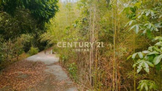 隘寮段, Jiji Township, Nantou County 552, Taiwan