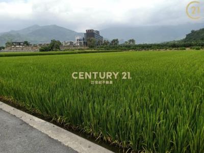 四維段, Luye Township, Taitung County 955, Taiwan