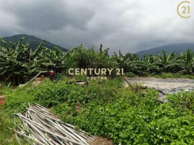 鹿野段, Luye Township, Taitung County 955, Taiwan