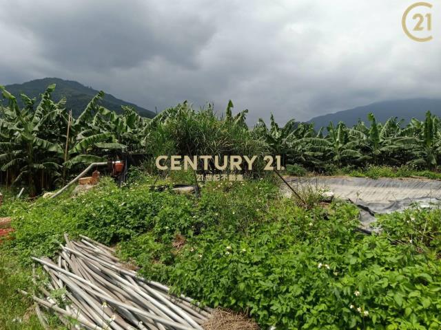 鹿野段, Luye Township, Taitung County 955, Taiwán