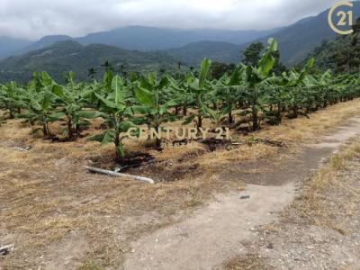 鹿野段, Luye Township, Taitung County 955, Taiwán