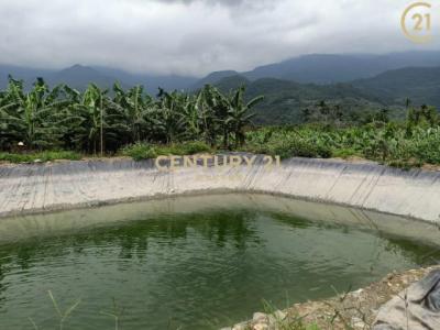 鹿野段, Luye Township, Taitung County 955, Taiwan