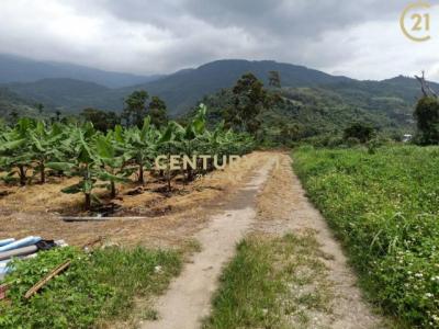 鹿野段, Luye Township, Taitung County 955, Taiwán