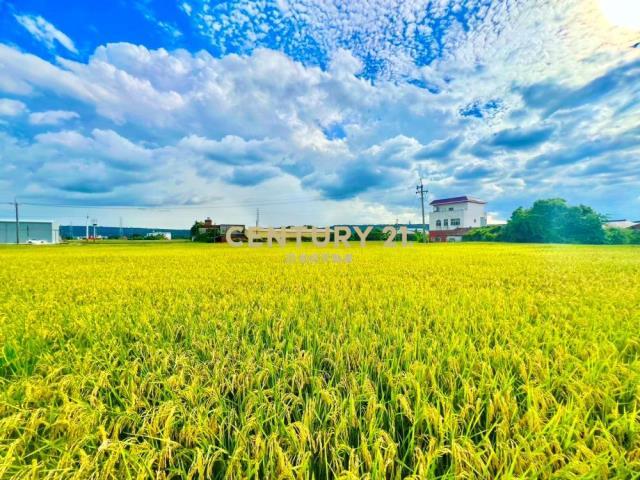 溪尾南段, Wuri Dist., Taichung 414, Taiwan