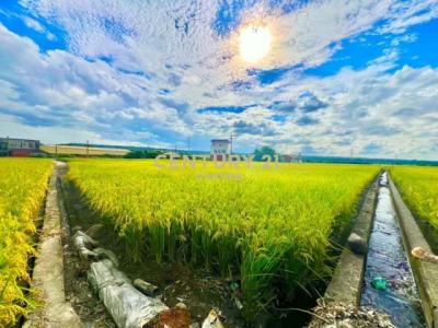溪尾南段, Wuri Dist., Taichung 414, Taiwan