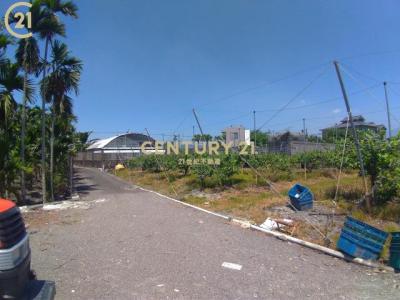 民安路, Gaoshu Township, Pingtung County 906, 대만