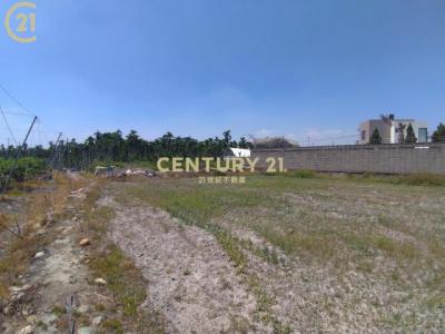 民安路, Gaoshu Township, Pingtung County 906, Đài Loan